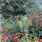 Bed & Breakfast Alicino 3*