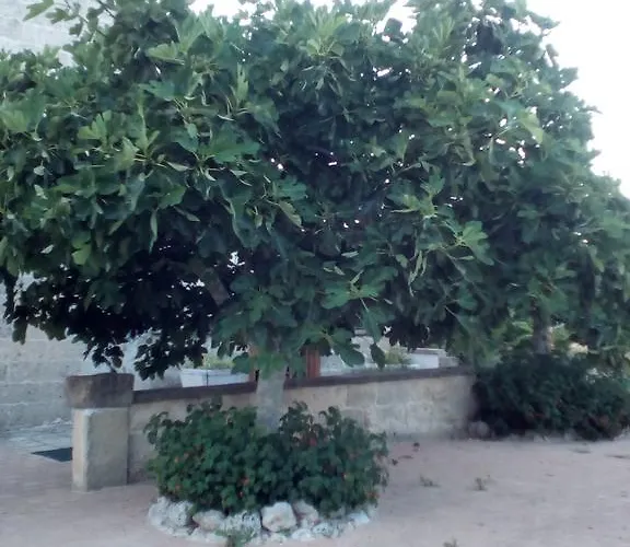Bed & Breakfast Alicino