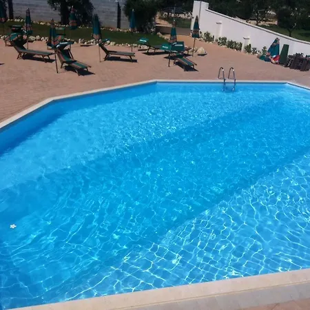 Alicino Cerfignano