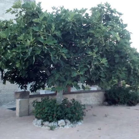 B&B Alicino