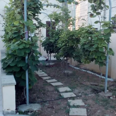 לינה וארוחת בוקר Alicino Cerfignano