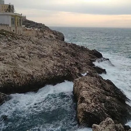 לינה וארוחת בוקר Alicino