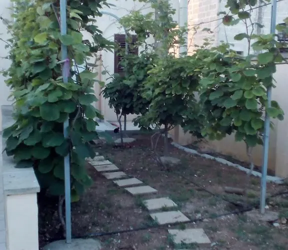 Bed & Breakfast Alicino Cerfignano